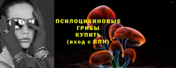 гашик Богородицк